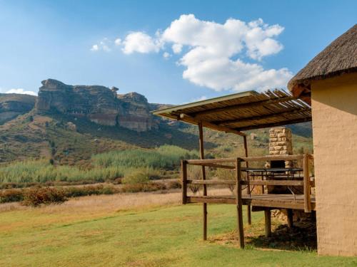 Camelroc Guest Farm