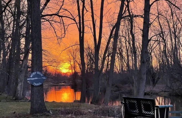 Canalside Tranquility