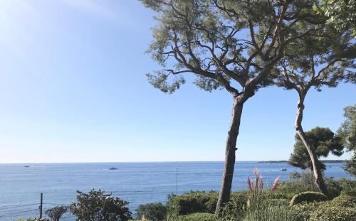 Cannes directly by the Sea