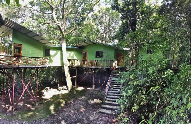 Canopy Wonders House: A Place Among Tree Tops!