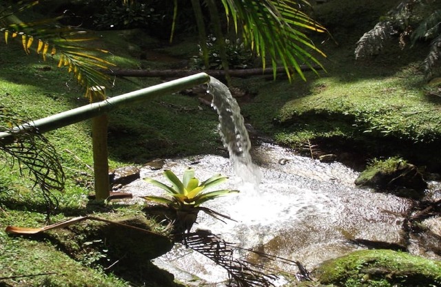 Canto dos Sonhos - Vale da Santa Clara - Visconde de Mauá