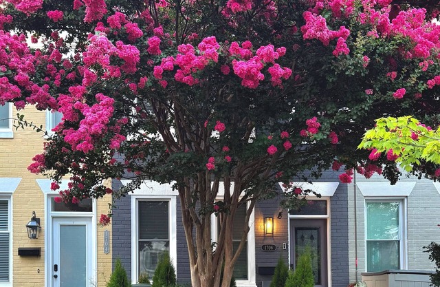 Capitol Hill B&B-Steps to Metro, Dining, & Museums