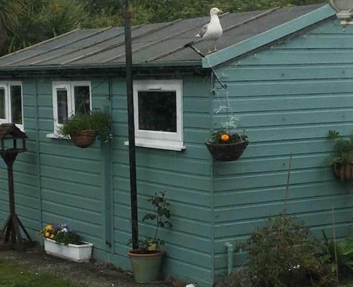 Captain's Cabin