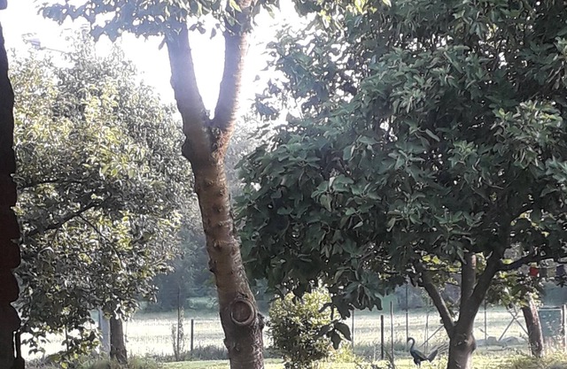 Casa al piano terra tra i Laghi Maggiore e Orta, vicina ad Arona e campi da golf