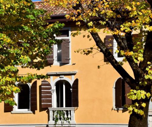 Casa Alpha