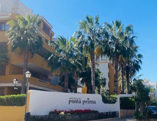 Casa de Flores