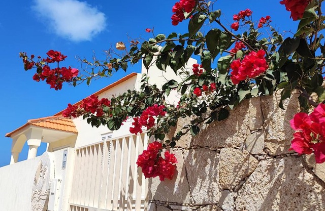 Casa Djarmai Boutique Apartments