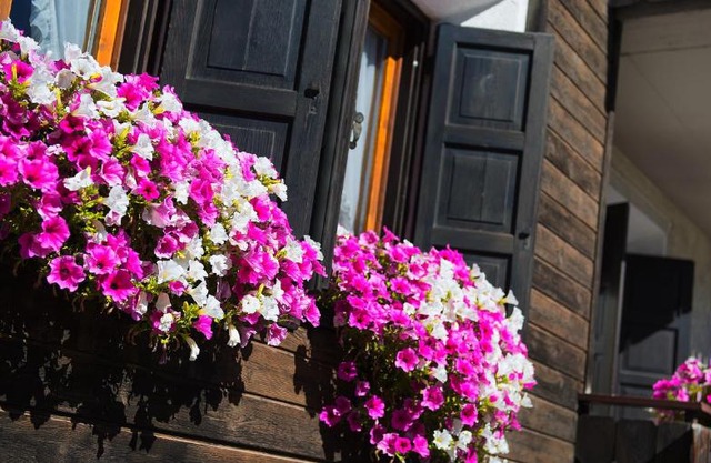 Casa Faifer mountain holiday Livigno