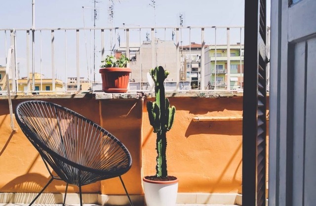 Casa Frida. Studio flat with big terrace.