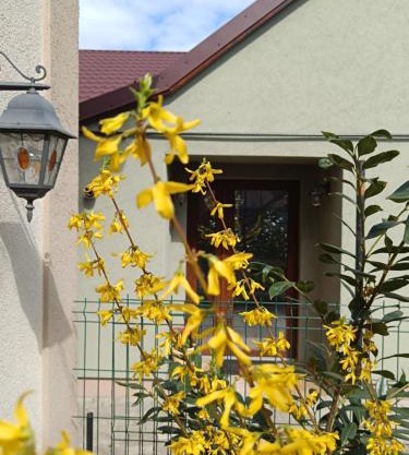 Casa Letea