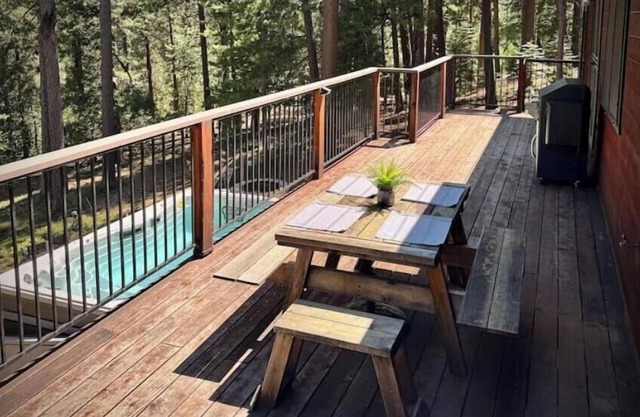 Casa Luna swim spa in the woods