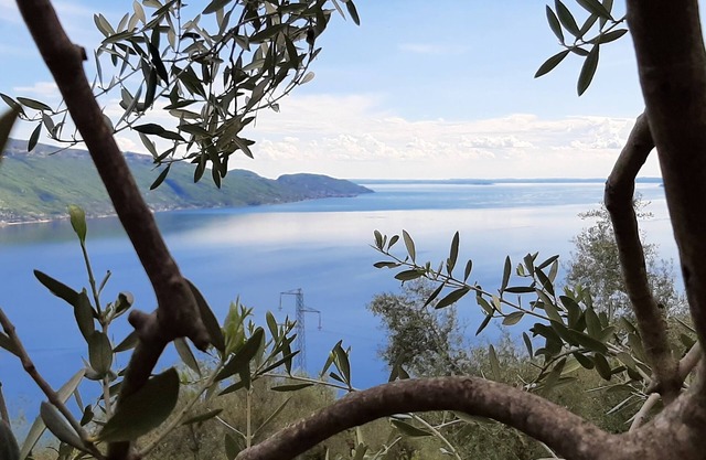 Casa Maffei PLUS apartment 2, 1st floor, balcony, wonderful lake view, parking