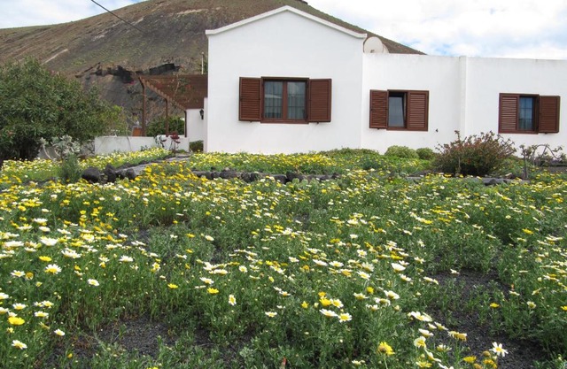 Casa Montaña de Tahiche