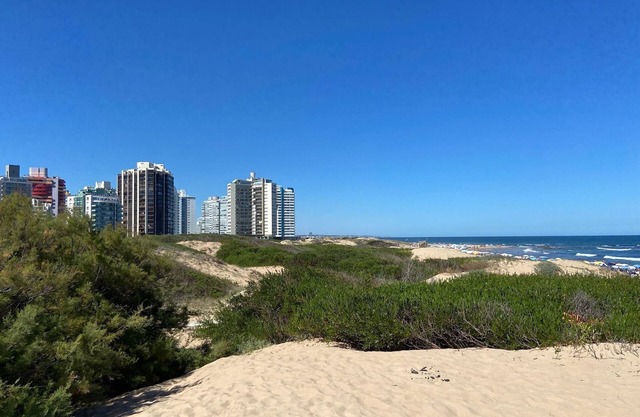 Casa Nostrum - Priceless Oceanfront View, Central Location + Great Value 3BR/3BA