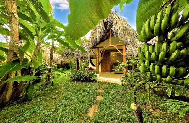 Casa Picaflor