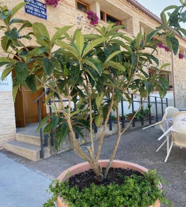 Casa Rural Hospital de las Palabras