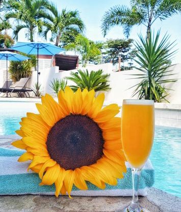 Casa Verde Hotel - Steps to the Beach, Pool, Restaurant & Bar