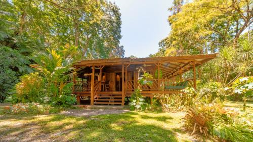 Casa Viva Eco Lodge