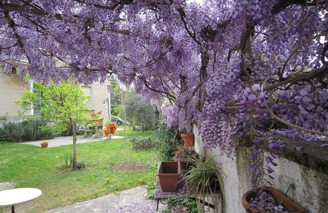 Castelletto Sopra Ticino: House / Villa - Castelletto sopra Ticino