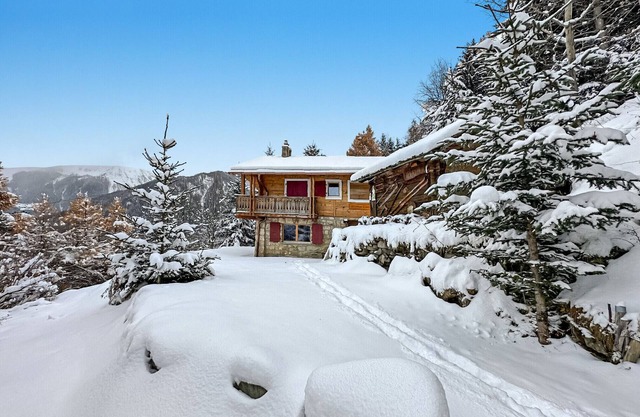 Chalet à Didi - Alpes Paradise- Ski in and out