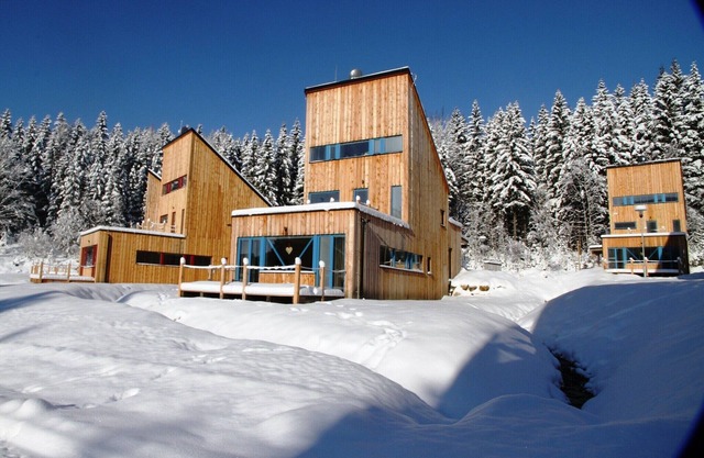 Chalet in Czechia's Tranquil Residential Area