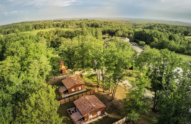 Chalet in the heart of the Périgord Noir in the Gîtes de l'Orée du bois.