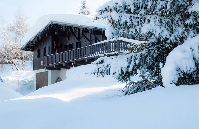 Chalet l'Hermine au pied des pistes dans le domaine Espace Diamant.