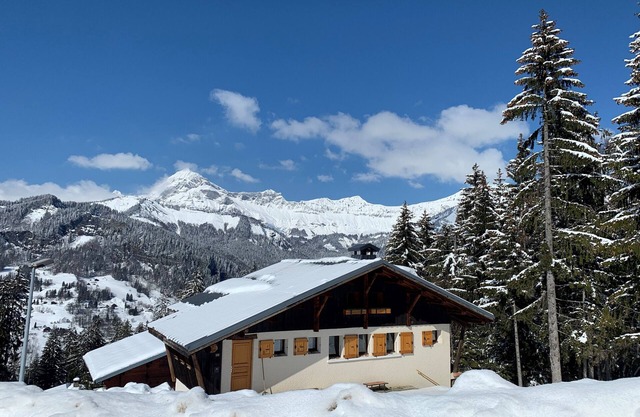 Chalet Le Remarquable, Crest Voland