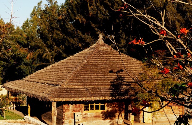 Chalet Mimosa Roumanie.