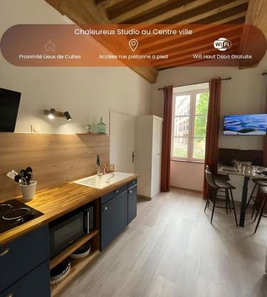 Chaleureux studio - Centre ville