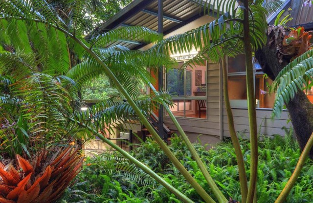 Chambers Wildlife Rainforest Lodges