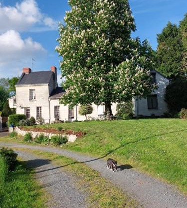 Chambres d'Hôtes de l'Ile du Saule