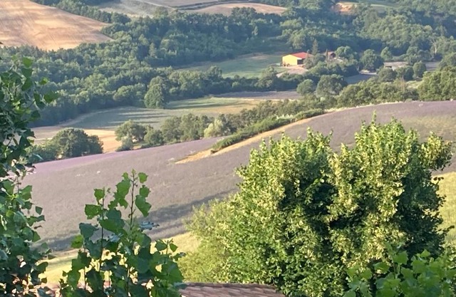 Chambres d’hôtes L’AMANDINE