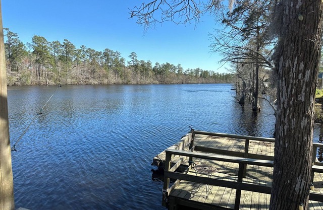 Charming 2-bedroom riverside cottage near beaches with huge bar and deck to fish