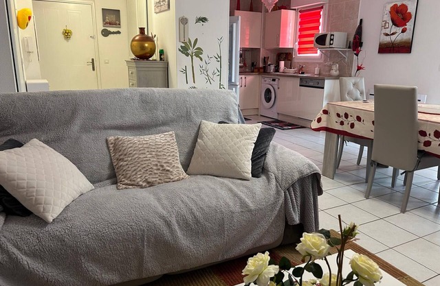 Charming apartment in Ondres for 4 people with loggia and parking