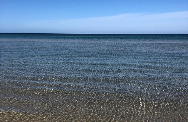 Charming Beachside studio - 2 min to the beach , pets welcome .