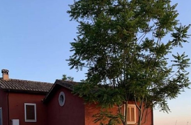 Charming country house near Rome with pool & panoramic views