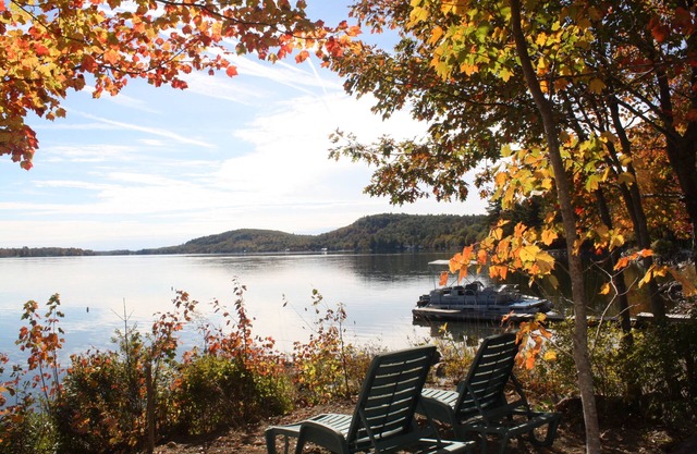 Charming Lakeside Cabin Near Belfast Bay