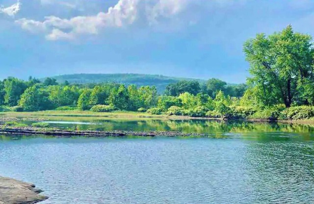 Charming Milford-Montague Riverway Cottage