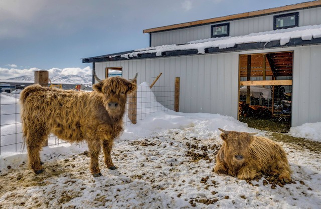 Charming Peoa Casita w/Mountain Views