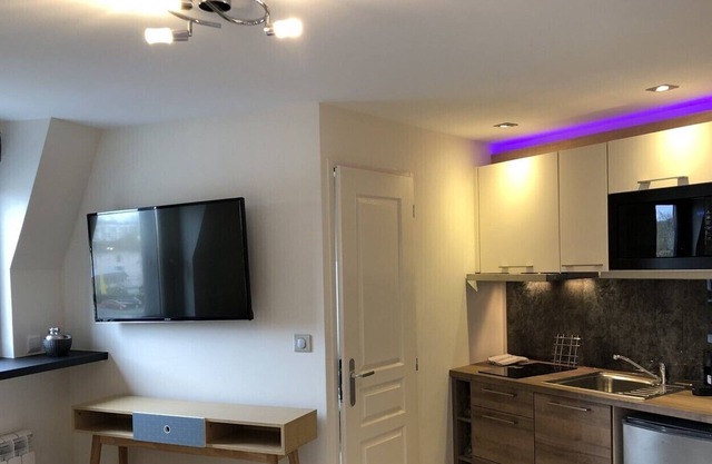Charming renovated furnished studio
