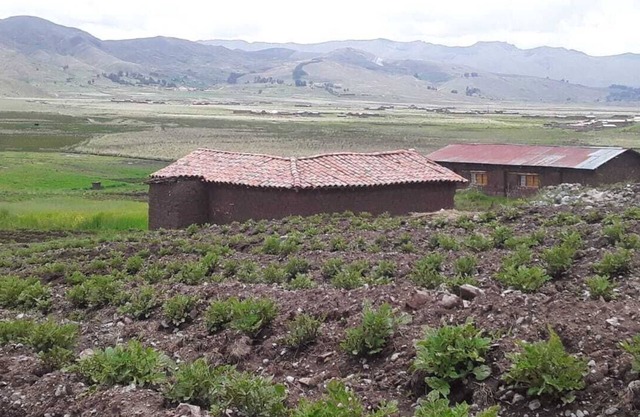 Charming Rural House in Yanaoca