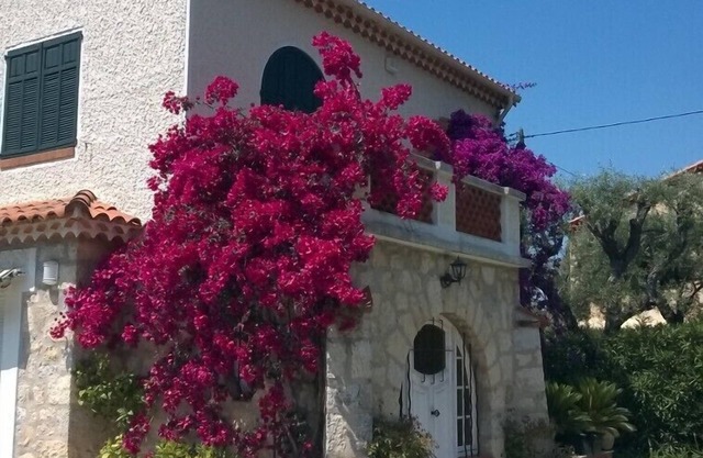 Charming villa in a private park, walk down to the sea from this peaceful spot