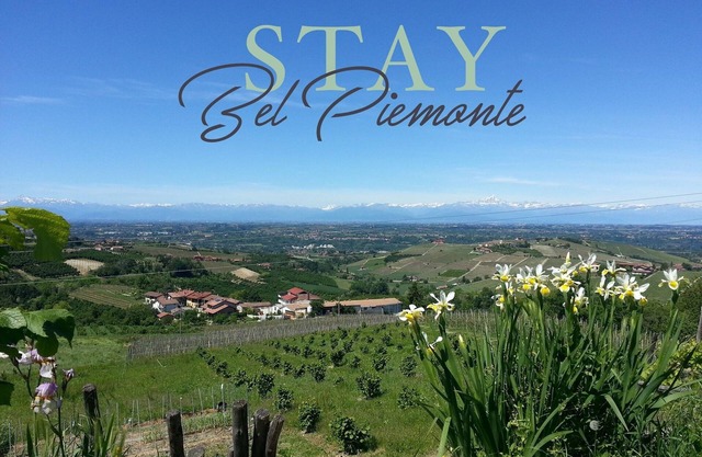 Charmingly restored apartment in Langhe-Roero. Stunning views!