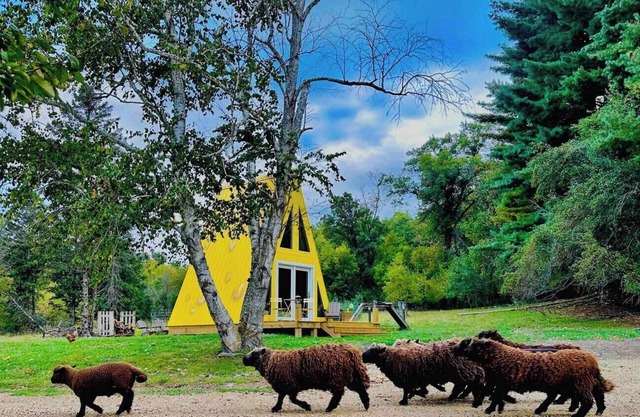 Cheese Wedge Cabin Idyllic Farm