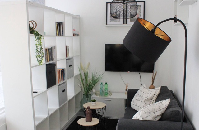 Chic apartment on the Neckarpromenade