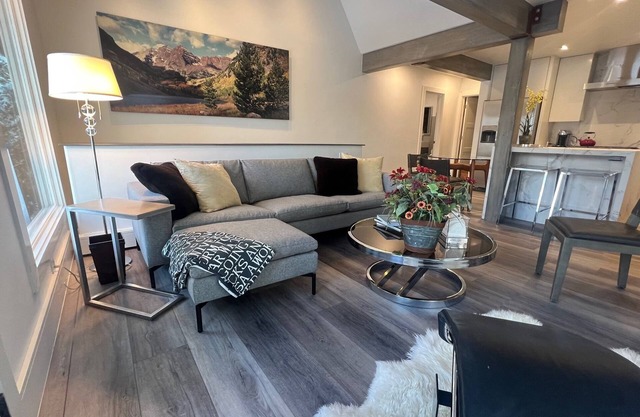 Chic new rehab near gondola, walk everywhere. A/C. Large 2BR 2 floors.
