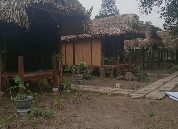 Chin house