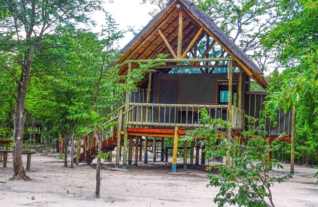 Chobe Mopani Forest Lodge & Camp site