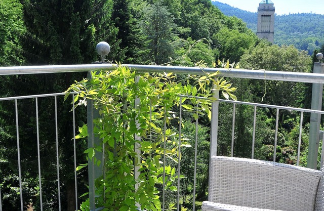 Close to nature and the city with balcony